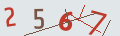 verifycode